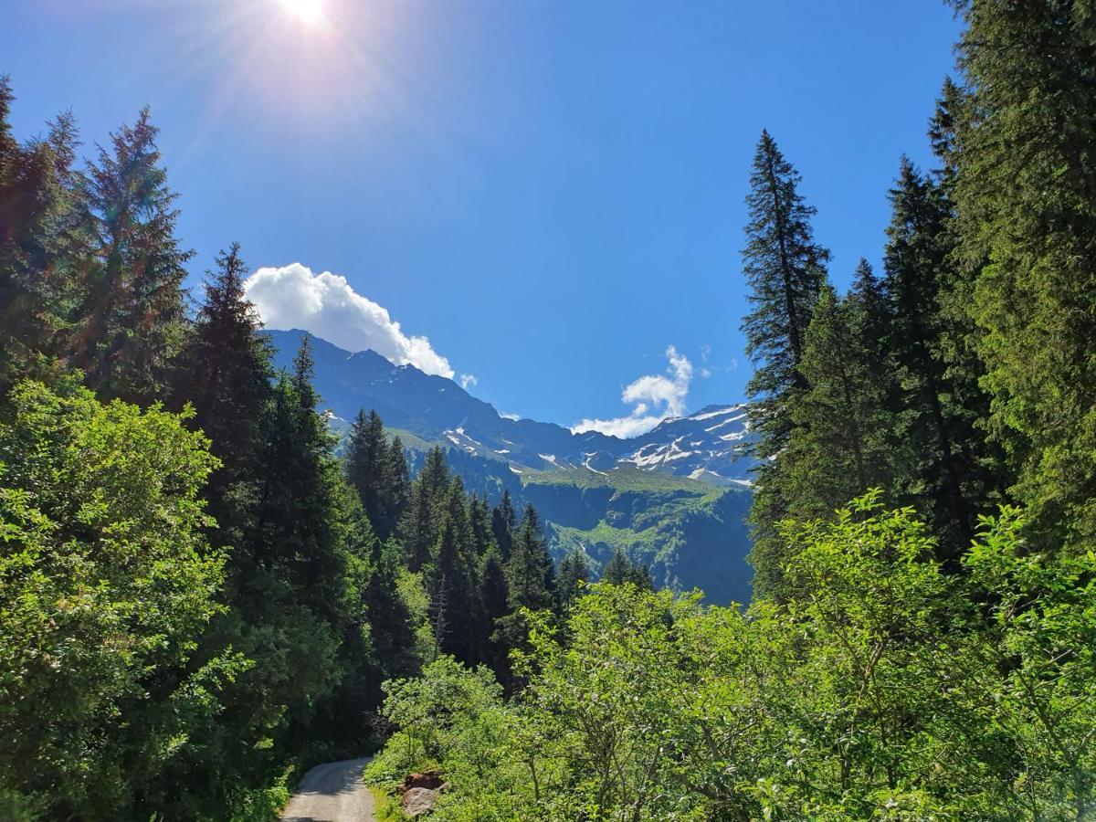 Haus Wohleb Lägenhet Fulpmes Exteriör bild